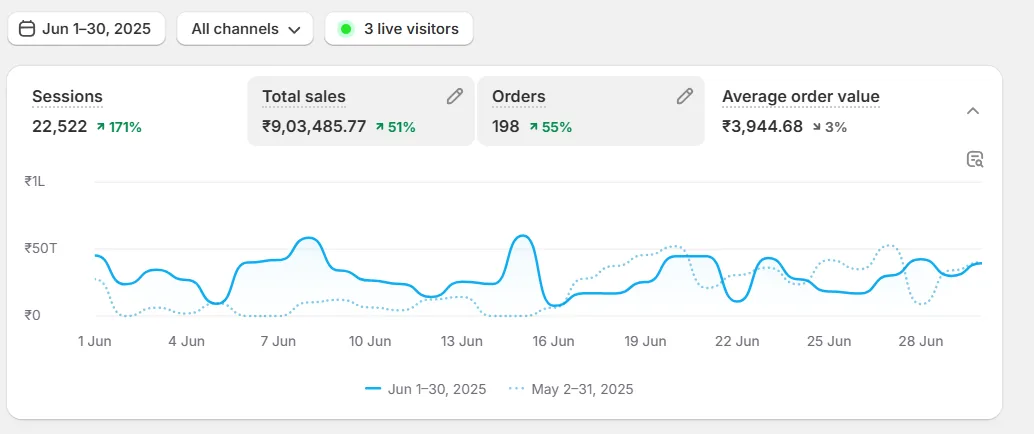 Selected Shopify dashboard for June showing sessions, sales, orders and average order value